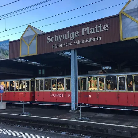 Interlaken/wilderswil Апартаменты Вильдерсвиль