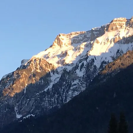 شقة Interlaken/wilderswil ويلدرسويل