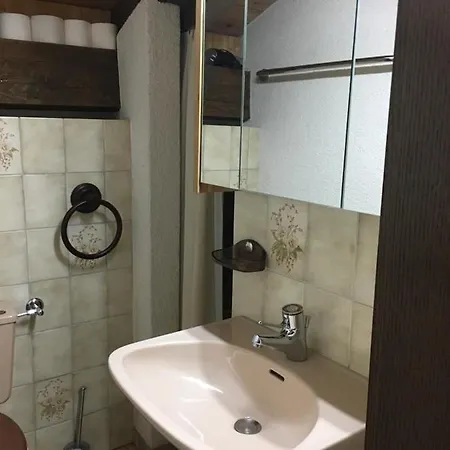 Appartement Interlaken/wilderswil *