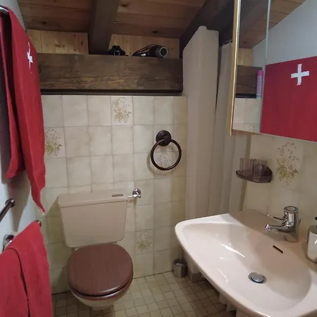 Interlaken/wilderswil Apartamento Wilderswil