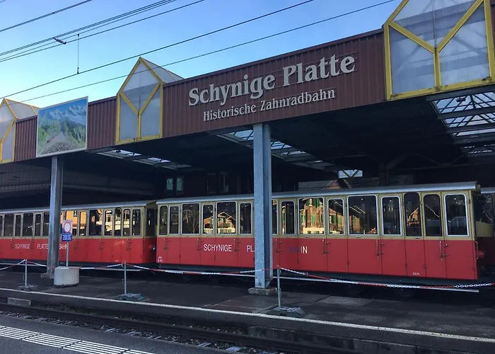 Interlaken/wilderswil Апартаменты Вильдерсвиль