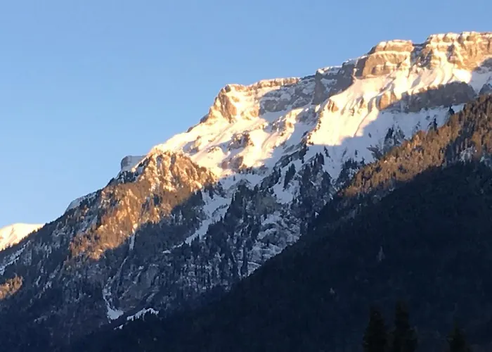 Апартаменты Interlaken/wilderswil Вильдерсвиль